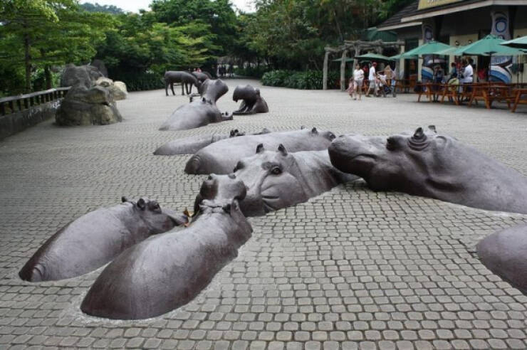 Creative Designs That Defy the Rules