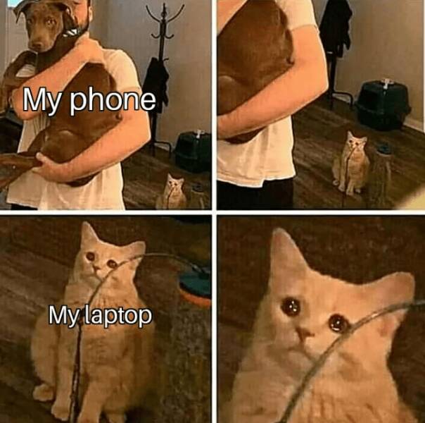 Memes for Everyone Addicted to Their Phones