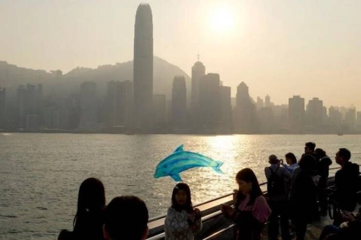 Mind-Bending Shots That Trick the Eye