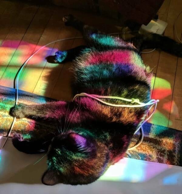 Mind-Bending Shots That Trick the Eye