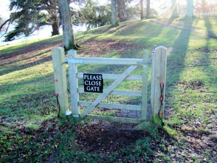 Unreal Images That Defy Logic Unreal Images That Defy Logic