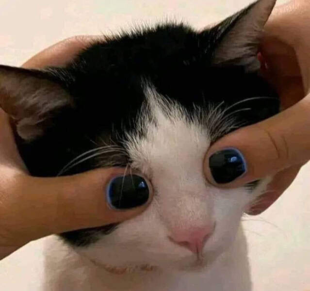 Unreal Images That Defy Logic