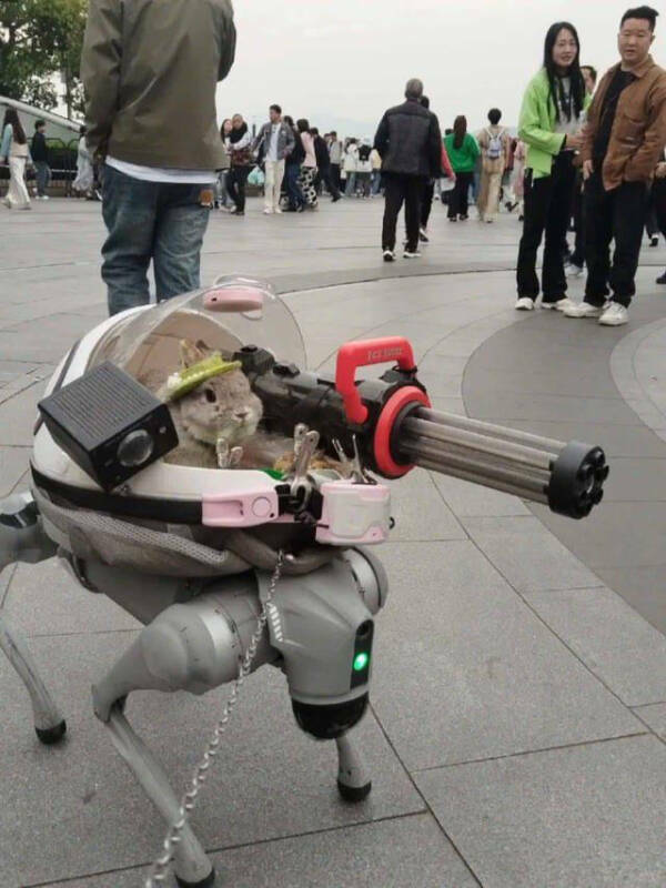 Unreal Images That Defy Logic