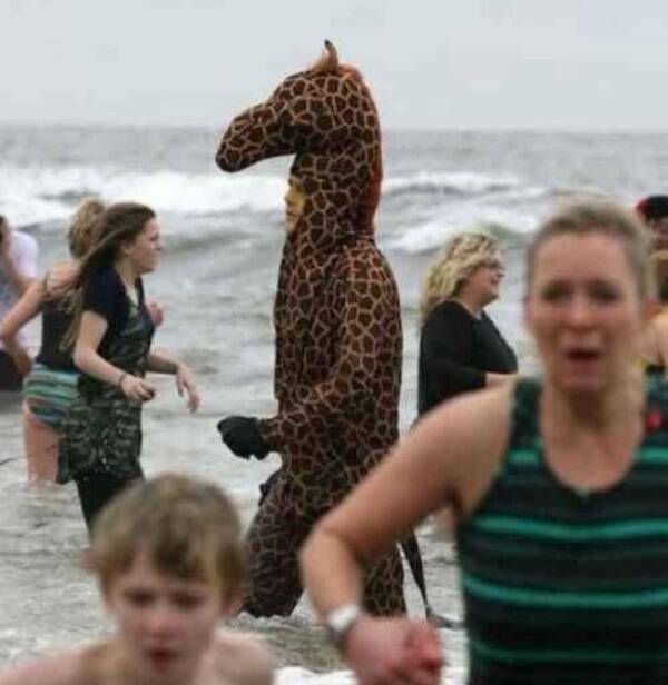 Unreal Images That Defy Logic