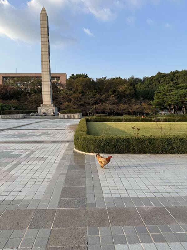 Slightly Fascinating Shots from Everyday Life