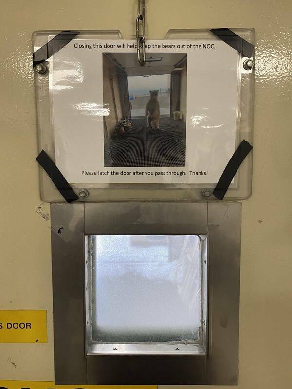 Slightly Fascinating Shots from Everyday Life