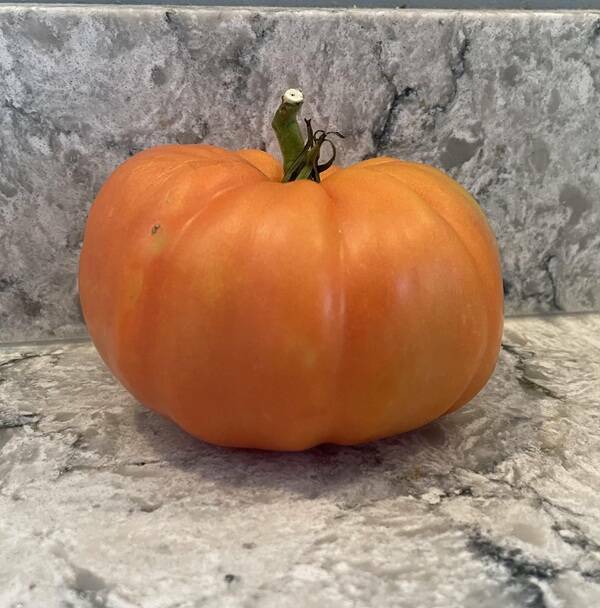 Slightly Fascinating Shots from Everyday Life