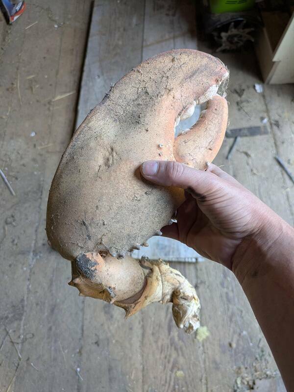 Slightly Fascinating Shots from Everyday Life