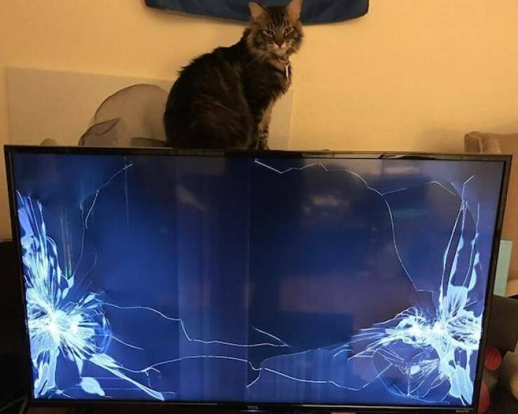 Utterly Confusing Images from the Internet