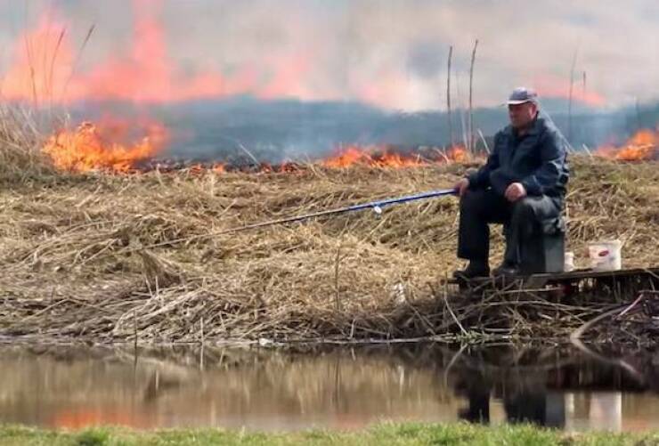 Utterly Confusing Images from the Internet