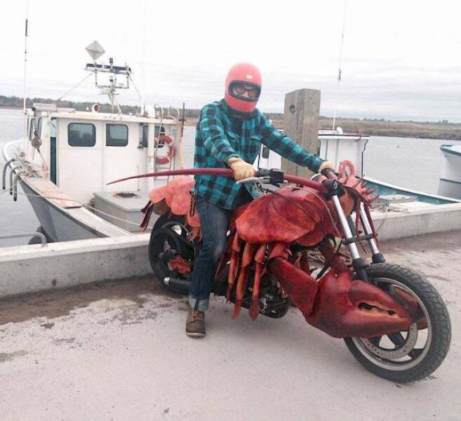 Utterly Confusing Images from the Internet