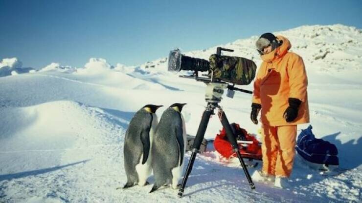 Utterly Confusing Images from the Internet