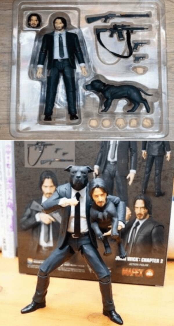 Utterly Confusing Images from the Internet