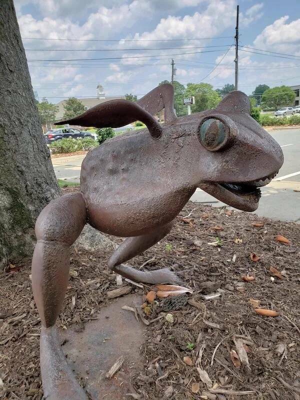 Utterly Confusing Images from the Internet