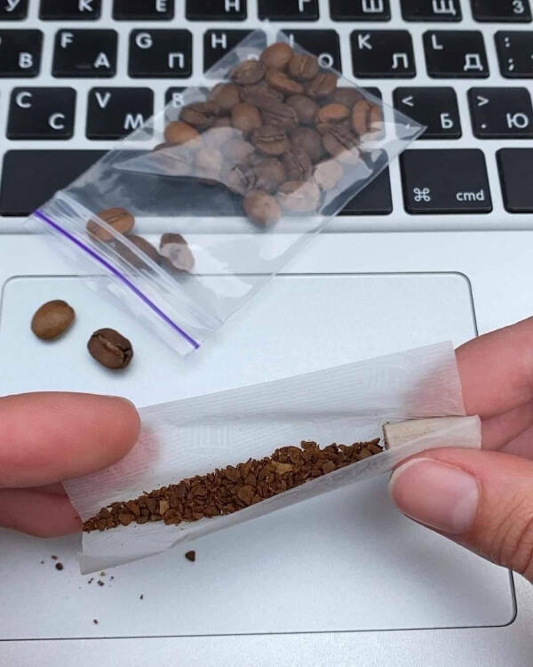 When Logic Took the Day Off