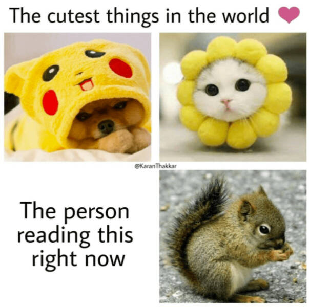 Pure Positivity to Brighten Your Day Pure Positivity to Brighten Your Day