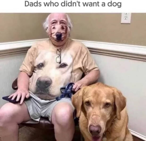 Pure Positivity to Brighten Your Day Pure Positivity to Brighten Your Day