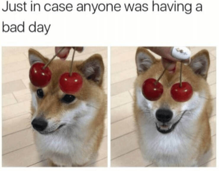 Pure Positivity to Brighten Your Day Pure Positivity to Brighten Your Day