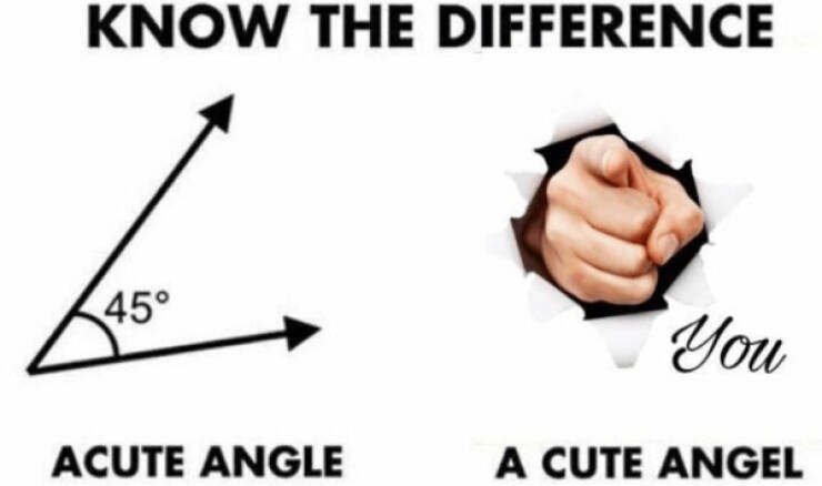 Pure Positivity to Brighten Your Day Pure Positivity to Brighten Your Day