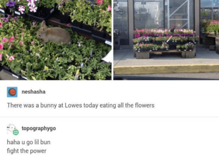 Pure Positivity to Brighten Your Day