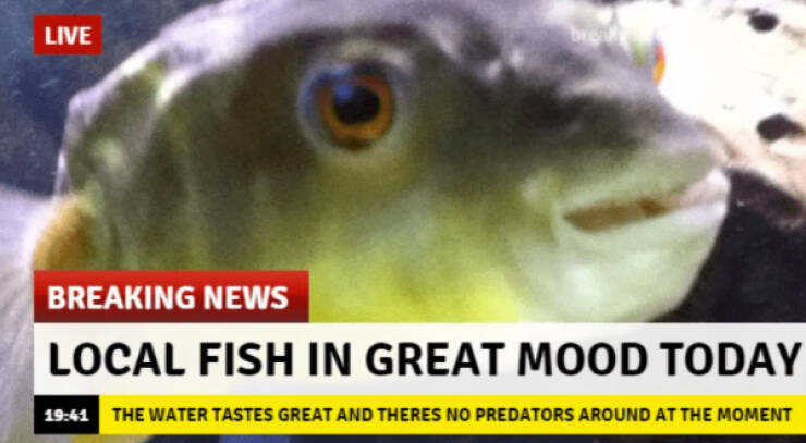 Pure Positivity to Brighten Your Day