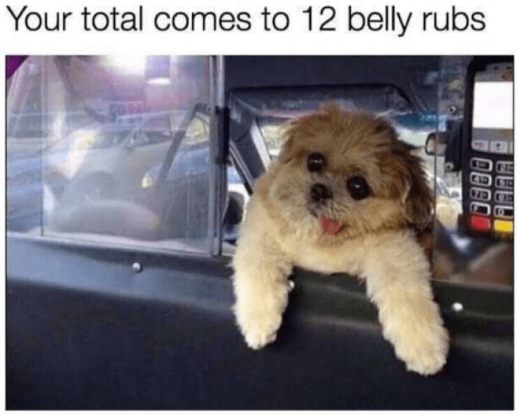 Pure Positivity to Brighten Your Day