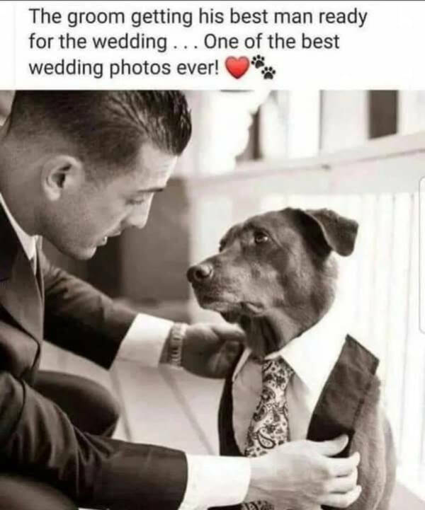 Pure Positivity to Brighten Your Day Pure Positivity to Brighten Your Day