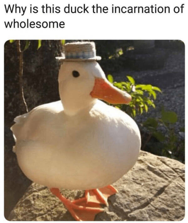 Pure Positivity to Brighten Your Day Pure Positivity to Brighten Your Day