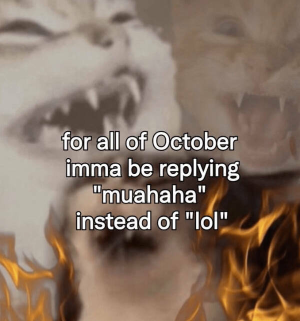 Pure Positivity to Brighten Your Day Pure Positivity to Brighten Your Day