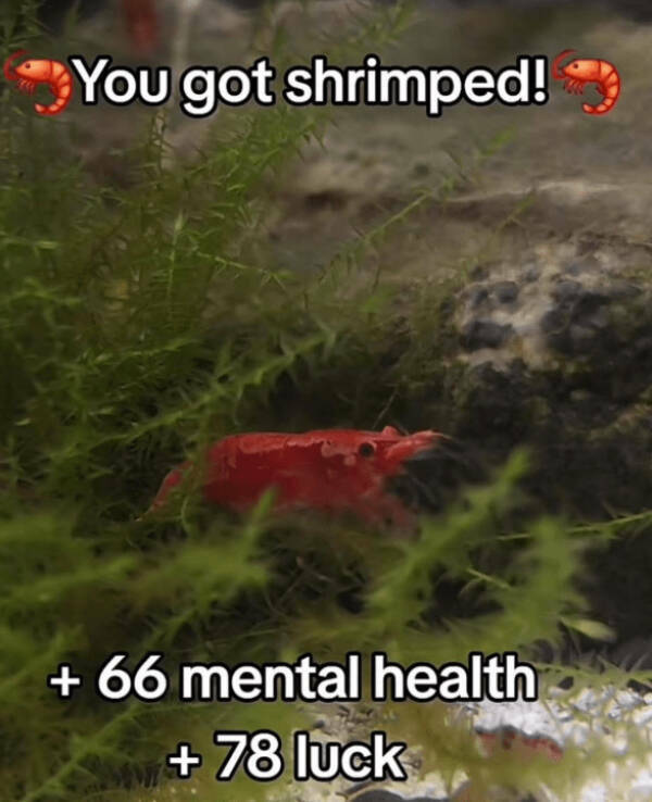 Pure Positivity to Brighten Your Day Pure Positivity to Brighten Your Day