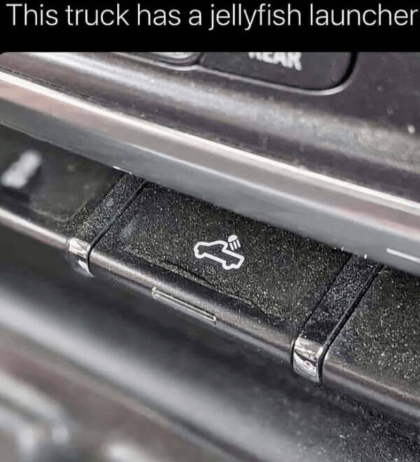 Pure Positivity to Brighten Your Day