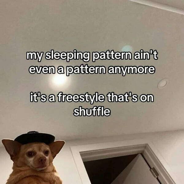 Totally Random Memes That’ll Crack You Up