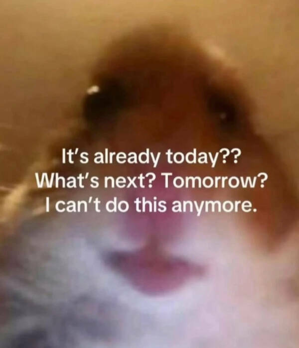 Totally Random Memes That’ll Crack You Up