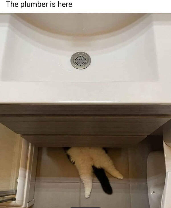 Totally Random Memes That’ll Crack You Up