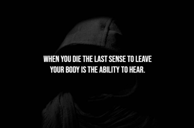 Creepy Bits of Knowledge You Can’t Unlearn