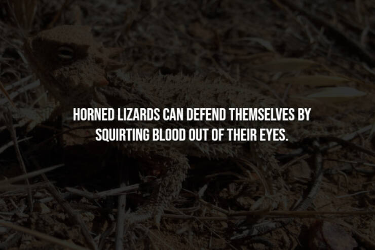 Creepy Bits of Knowledge You Can’t Unlearn