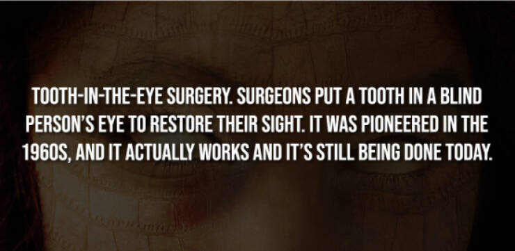 Creepy Bits of Knowledge You Can’t Unlearn