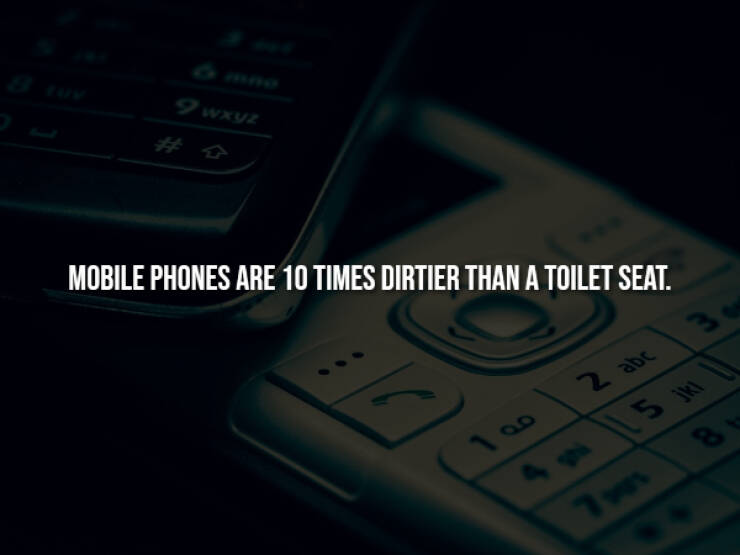 Creepy Bits of Knowledge You Can’t Unlearn