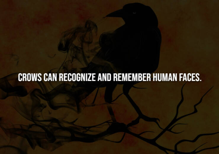 Creepy Bits of Knowledge You Can’t Unlearn