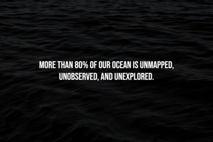 Creepy Bits of Knowledge You Can’t Unlearn