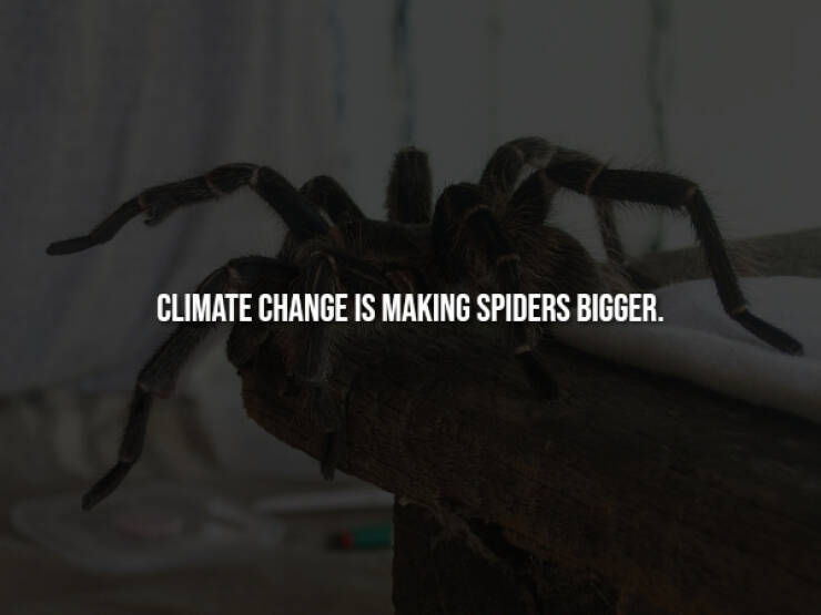 Creepy Bits of Knowledge You Can’t Unlearn