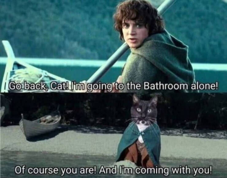 Painfully Relatable Memes We All Feel