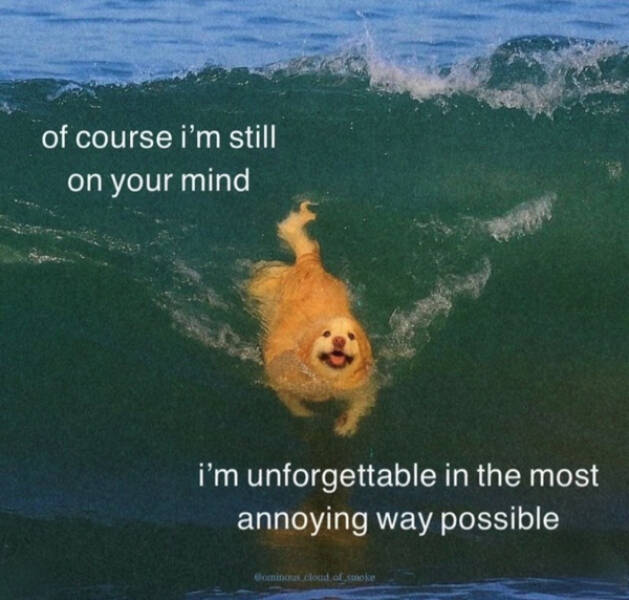 Painfully Relatable Memes We All Feel