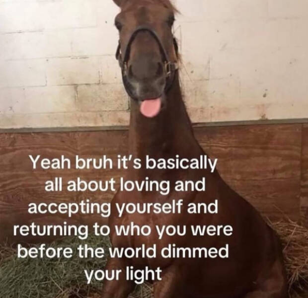 Painfully Relatable Memes We All Feel