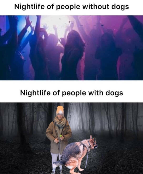 Painfully Relatable Memes We All Feel