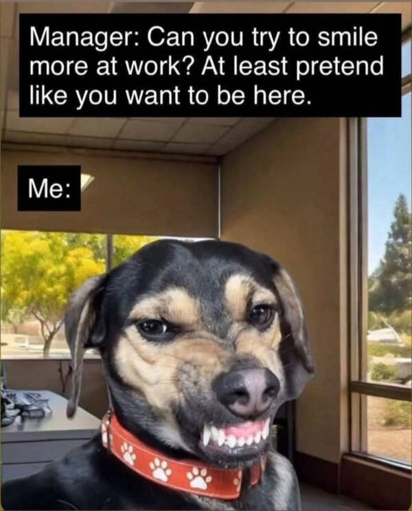 Painfully Relatable Memes We All Feel