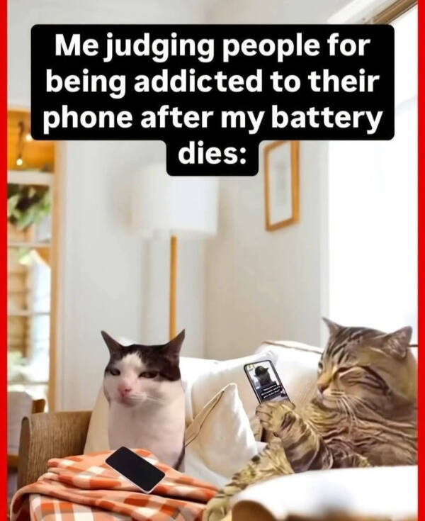 Painfully Relatable Memes We All Feel