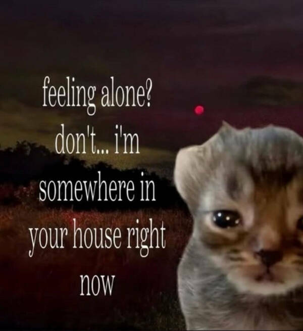 Painfully Relatable Memes We All Feel