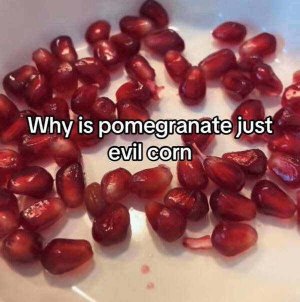 Painfully Relatable Memes We All Feel