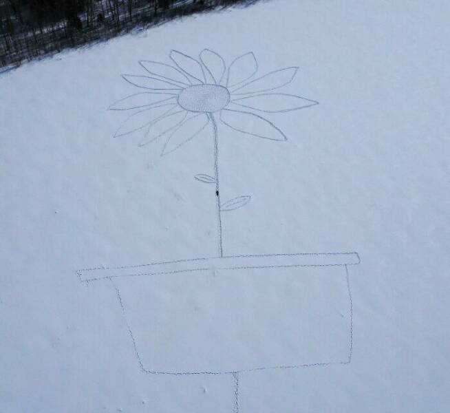 When Humans Step In for Scale: Size Comparisons That Amaze